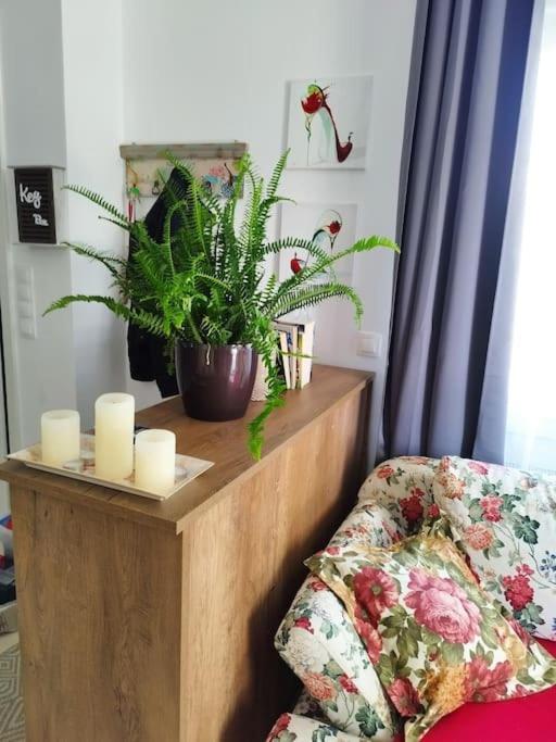 Renovated Apartment With Garden And Parking Space Peraía Exterior foto